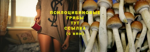 амф Алексеевка