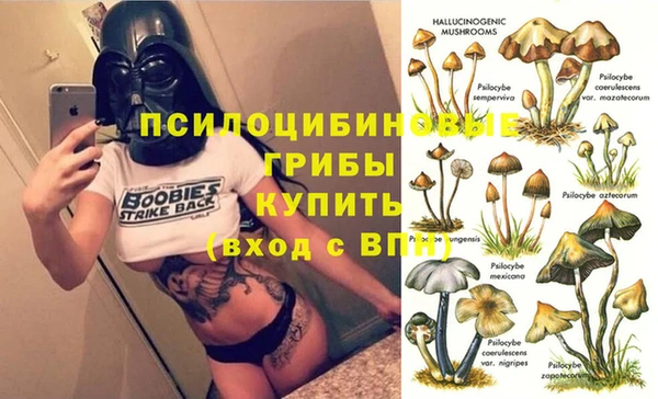 метадон Алексин
