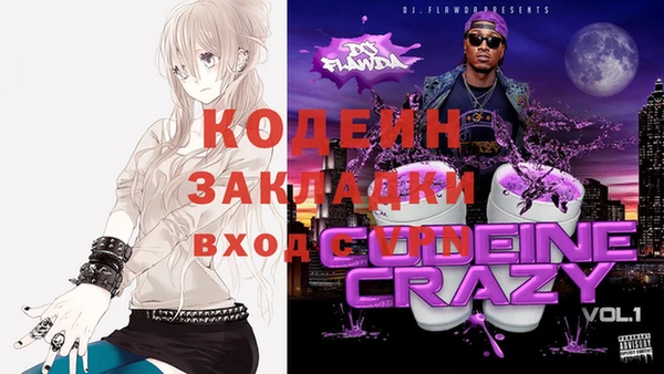 метадон Алексин