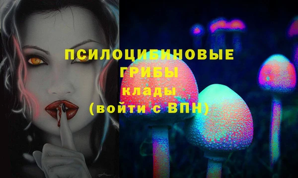 гашик Алзамай