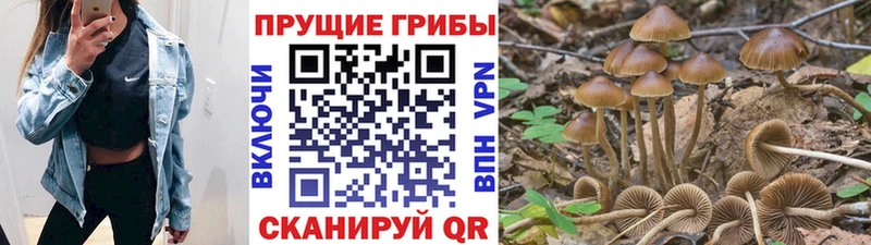 хочу наркоту  Нея  Галлюциногенные грибы Magic Shrooms 